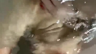野花社区视频在线观看免费视频">伊人久久大香线蕉亚洲五月天